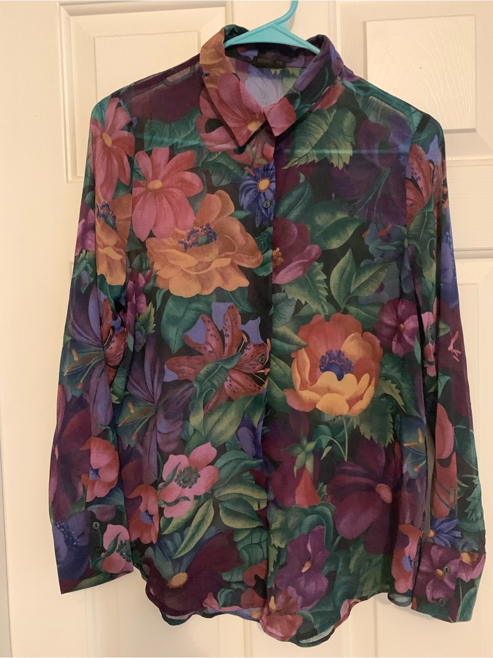 NWOT Sheer Floral Button-Up Multicolor Blouse